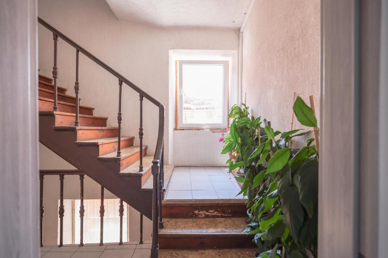 Cozy Studio Cvita Zadar Exterior photo